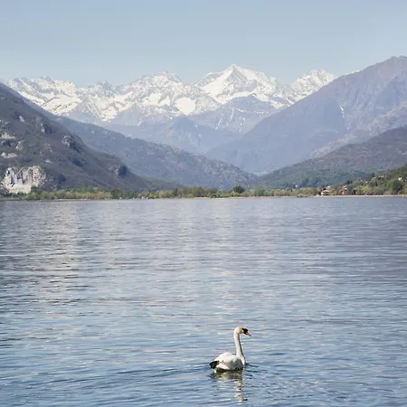 호텔 Lvg Collection - Belvedere San Gottardo 4*